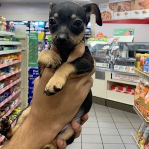 Not for sale! Just wanted to share my baby🥰❤️